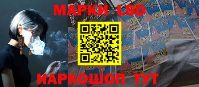 шишки Изобильный