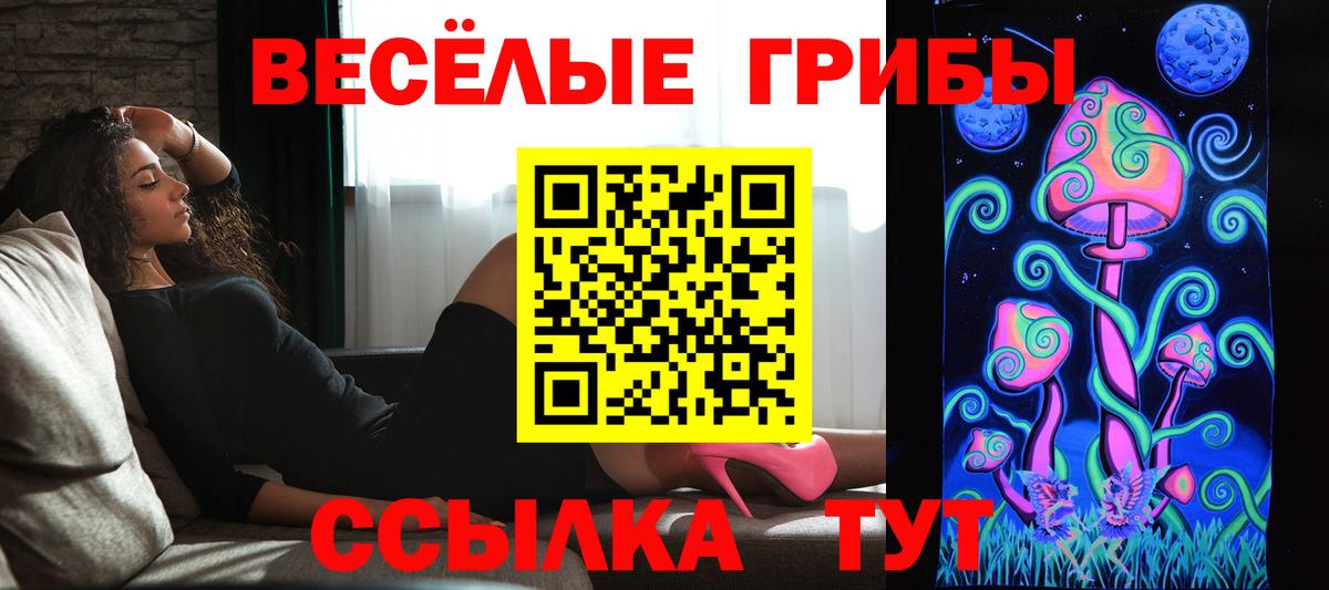 Лесной  Галлюциногенные грибы ЛСД  Вход с VPN 