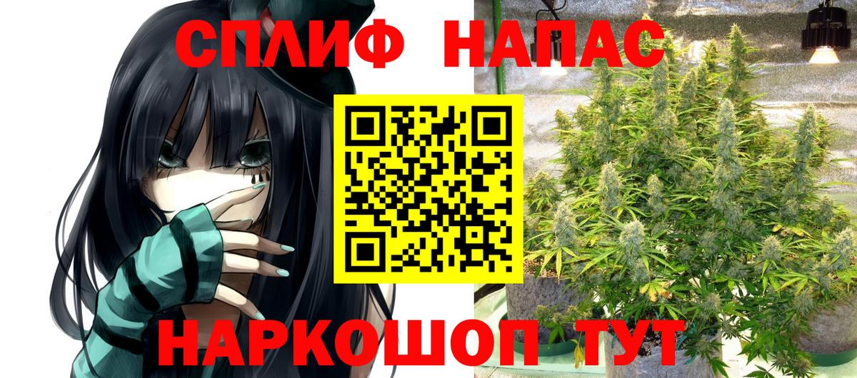 Бошки марихуана конопля  Конопля планчик  Вход с VPN  Конопля White Widow  Лесной  Конопля планчик 
